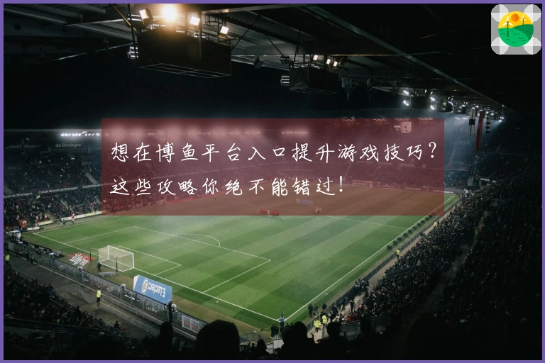 想在博鱼平台入口提升游戏技巧？这些攻略你绝不能错过！