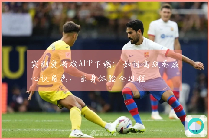 实测爱游戏APP下载：如何高效养成心仪角色，亲身体验全过程